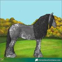 Horse Color:Black Ice