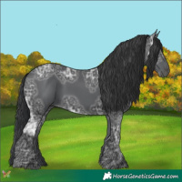 Horse Color:Black Ice 