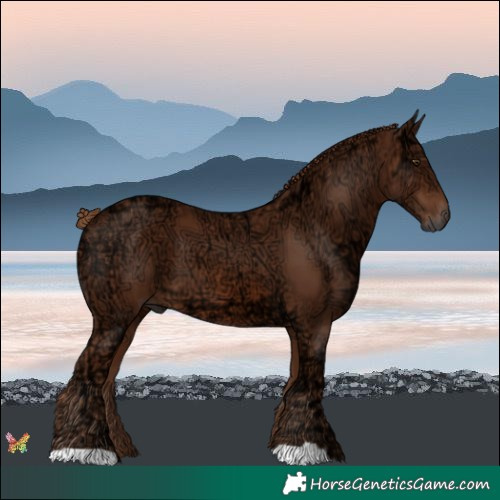 Horse Color:Chestnut Ice 