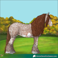 Horse Color:Chestnut Ice Frame 