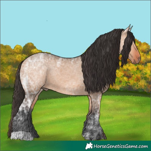 Horse Color:Bay Ice Dun 