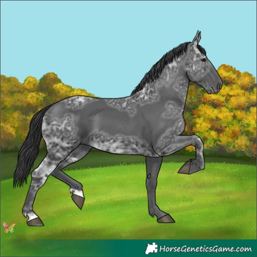 Horse Color:Black Ice 