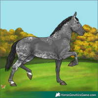 Horse Color:Black Ice