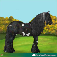Horse Color:White Spotted Midnight Brown Ice Frame 