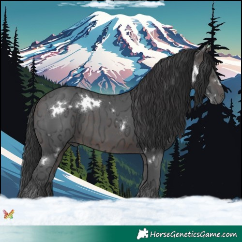 Horse Color:White Spotted Brown Ice 