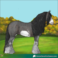 Horse Color:White Spotted Brown Ice Frame 