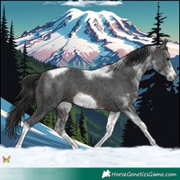 Horse Color:White Spotted Brown Ice Tobiano Frame 