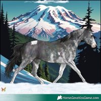Horse Color:White Spotted Midnight Brown Ice Tobiano 