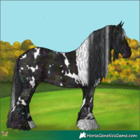 Horse Color:White Spotted Midnight Brown Ice