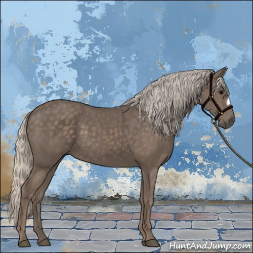 Horse Color:Silver Black 