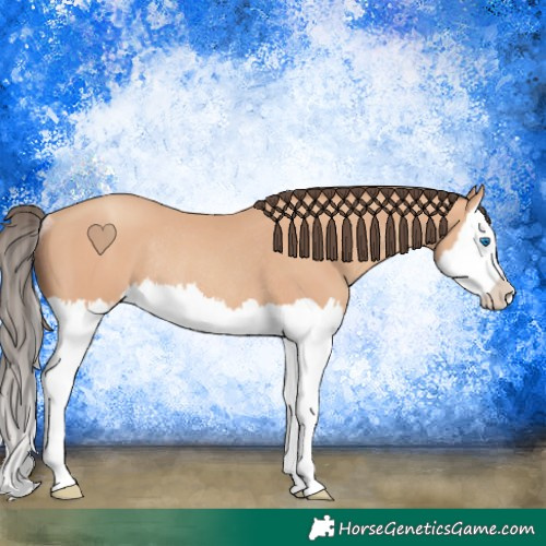 Horse Color:Amber Champagne Splash Rabicano 