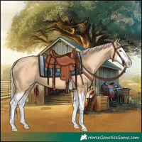 Horse Color:Gold Champagne Splash