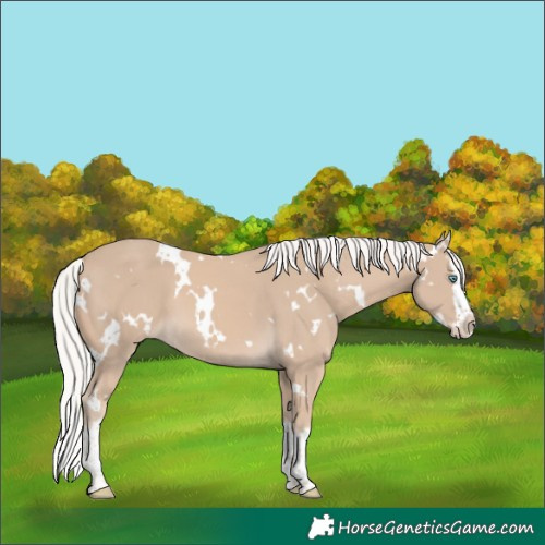 Horse Color:White Spotted Silver Smoky Creme Splash 