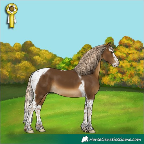 Horse Color:Chocolate Palomino Splash Tobiano 