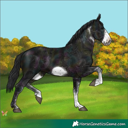 Horse Color:White Spotted Midnight Brown Ice Frame 