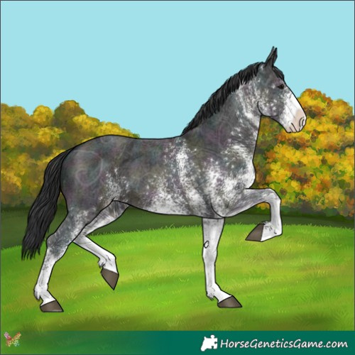 Horse Color:White Spotted Midnight Brown Ice