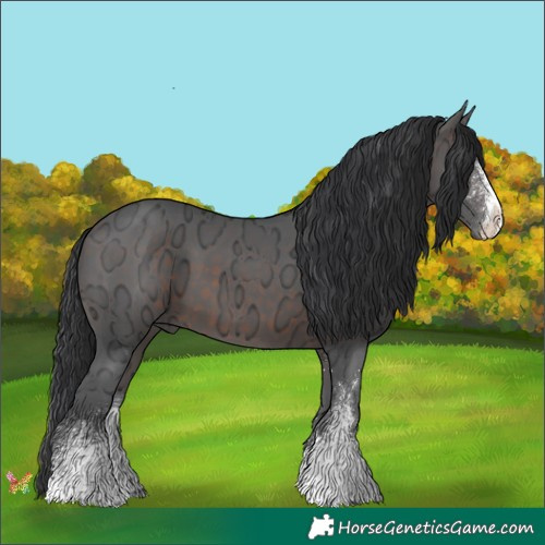 Horse Color:White Spotted Brown Ice 