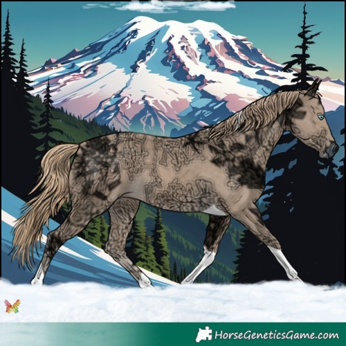 Horse Color:Perlino Ice Tobiano 