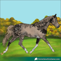 Horse Color:Perlino Ice Tobiano 