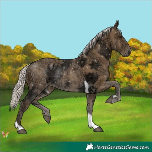 Horse Color:Silver Smoky Black Ice Tobiano 