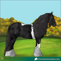 Horse Color:Smoky Black Ice Tobiano