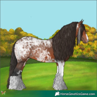 Horse Color:Bay Ice Tobiano 
