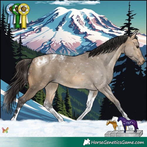 Horse Color:White Spotted Buckskin Ice Dun 