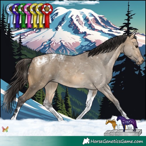 Horse Color:White Spotted Buckskin Ice Dun 