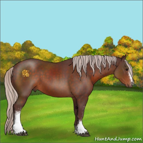 Horse Color:White Spotted Chocolate Silver Brown 