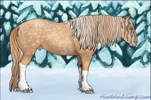 Horse Color:Gold Champagne Ice Tobiano 