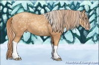 Horse Color:Gold Champagne Ice Tobiano