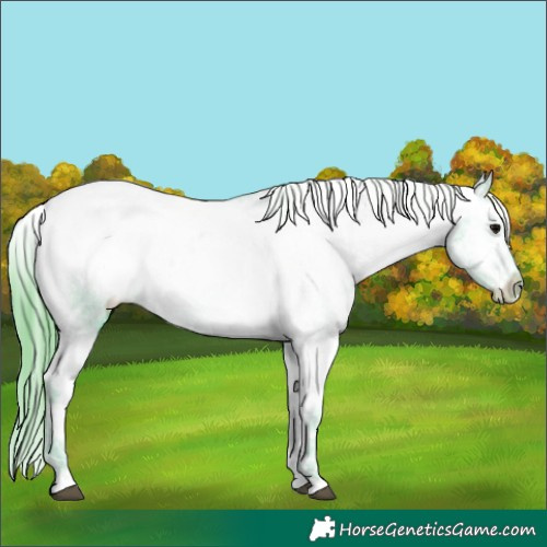 Horse Color:Watercolor Black Ice Snowcap Rabicano