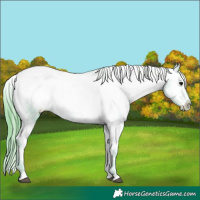 Horse Color:Watercolor Black Ice Snowcap Rabicano 
