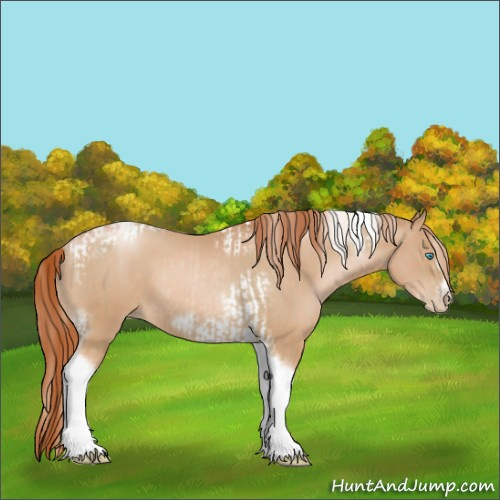 Horse Color:Chocolate Palomino Pearl Tobiano Frame and Buckskin Pearl Tobiano Frame