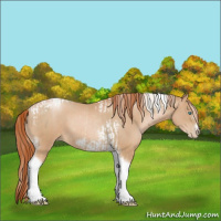 Horse Color:Chocolate Palomino Pearl Tobiano Frame  and Buckskin Pearl Tobiano Frame 