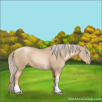 Horse Color:Chocolate Palomino Pearl Tobiano Frame  and Chocolate Palomino Pearl Tobiano 