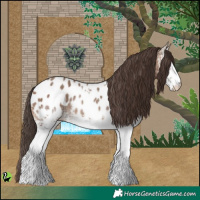 Horse Color:White Spotted Sable Champagne Appaloosa Rabicano