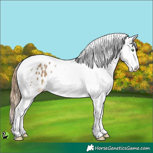 Horse Color:Sable Cream Champagne Tobiano Appaloosa 