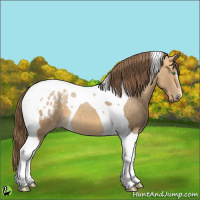 Horse Color:Sable Cream Champagne Tobiano Appaloosa