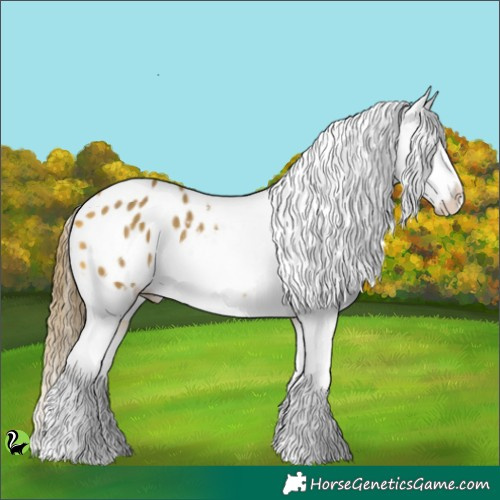 Horse Color:White Spotted Sable Cream Champagne Appaloosa 