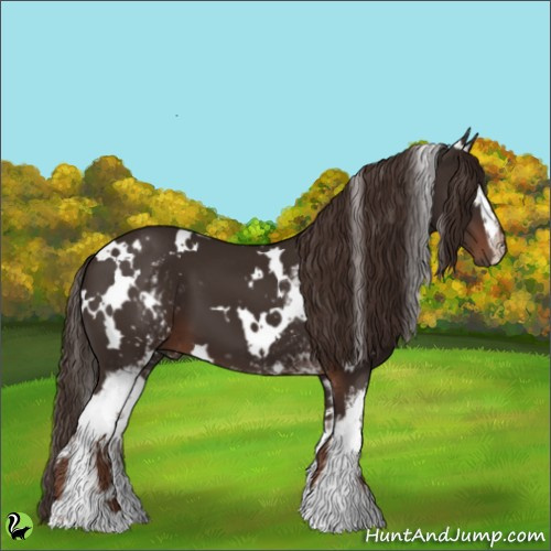 Horse Color:White Spotted Liver Chestnut 