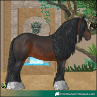 Horse Color:Brown 