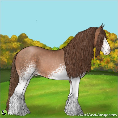 Horse Color:White Spotted Brown Pearl 