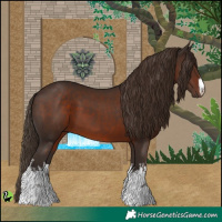 Horse Color:White Spotted Liver Chestnut 