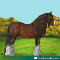 Horse Color:White Spotted Liver Chestnut 
