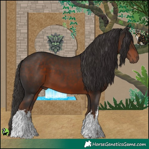 Horse Color:White Spotted Liver Chestnut 