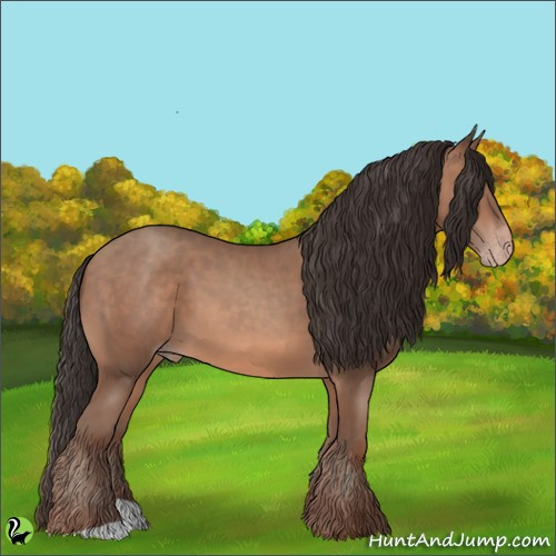 Horse Color:Sable Champagne 