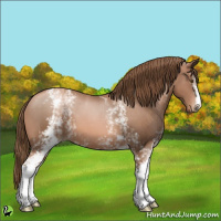 Horse Color:White Spotted Liver Chestnut Pearl 