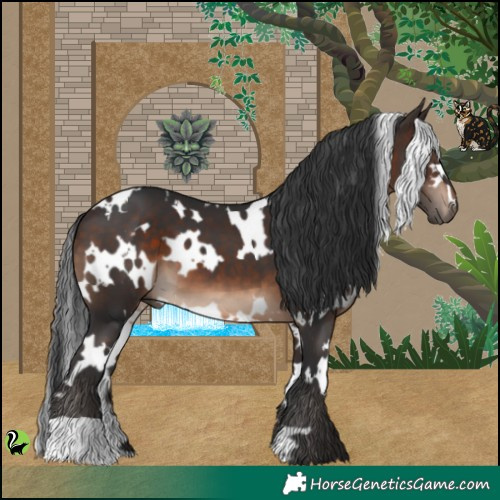 Horse Color:White Spotted Brown 
