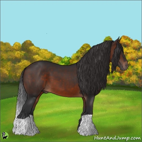 Horse Color:Brown 